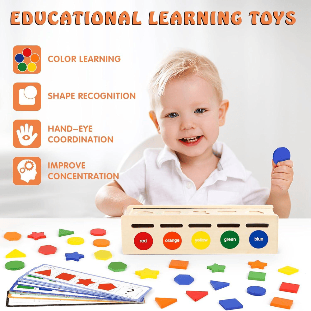 Toy. Wooden Sorting Box