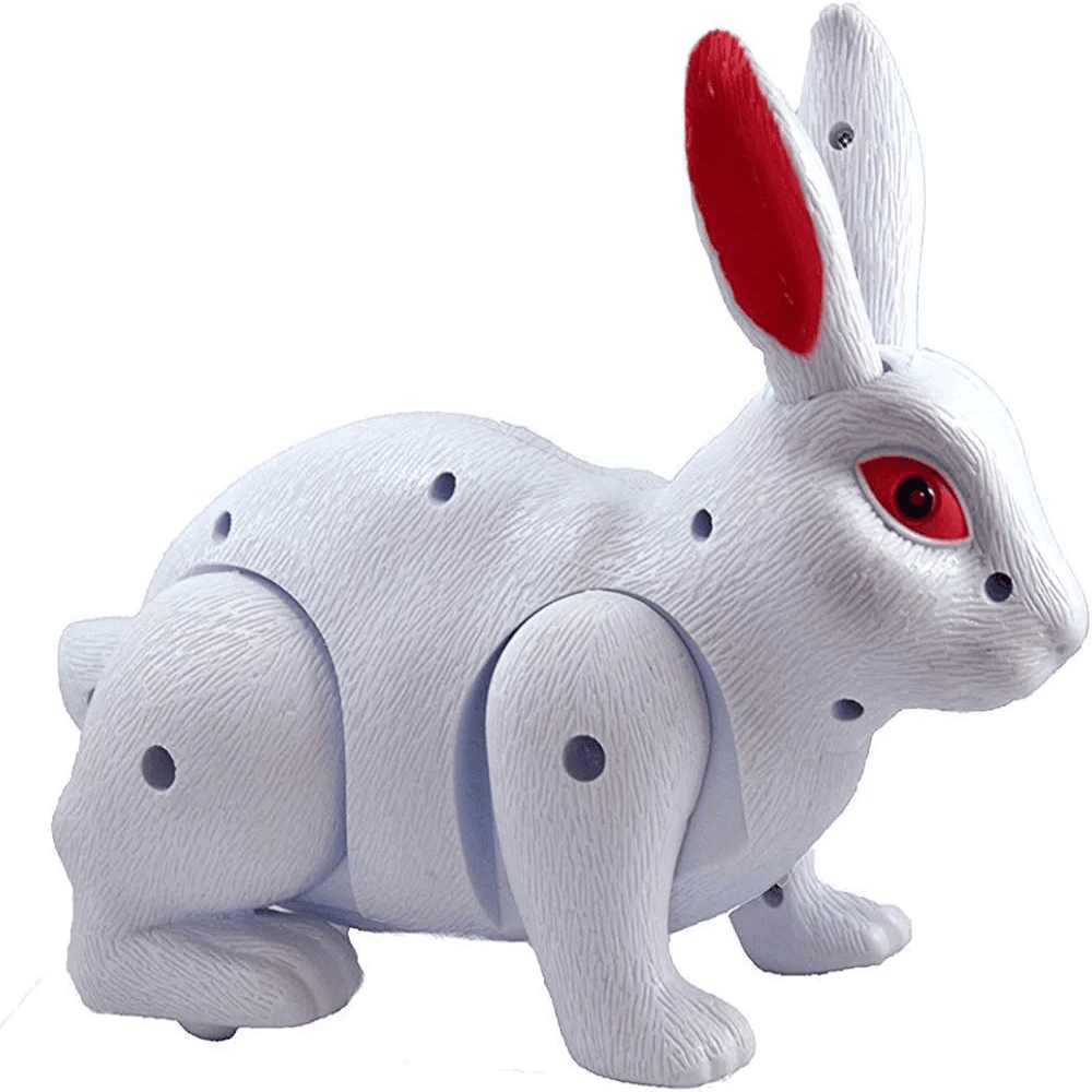 Toy. Rabbit game