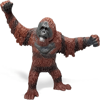 Picture of Monkey Models
