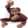 Picture of Monkey Models