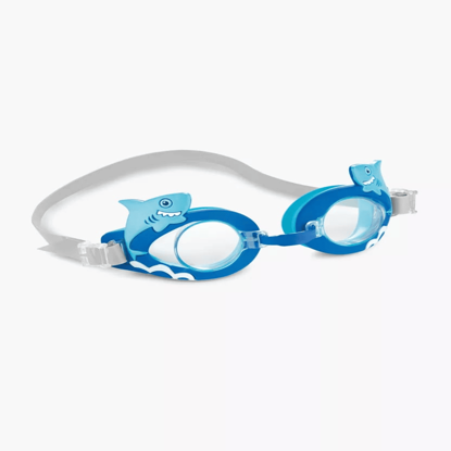 Picture of swimming goggles