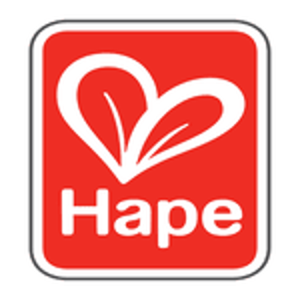Picture for manufacturer Hape
