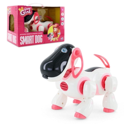 Picture of SMART DOG