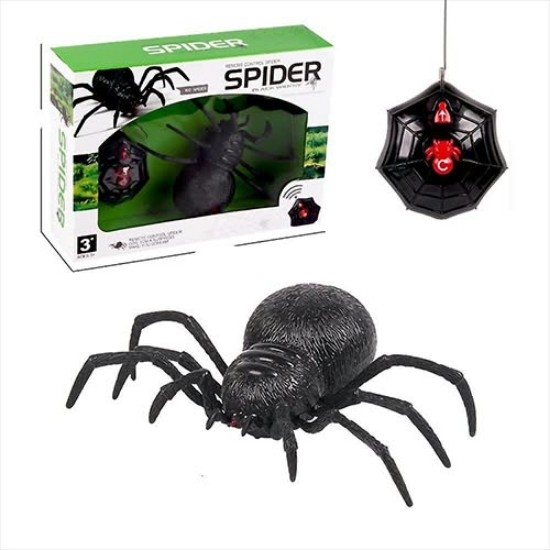 Picture of SPIDER BLACK WIDOW