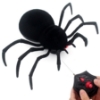 Picture of SPIDER BLACK WIDOW
