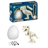 Picture of DINOSAUR FOSSIL