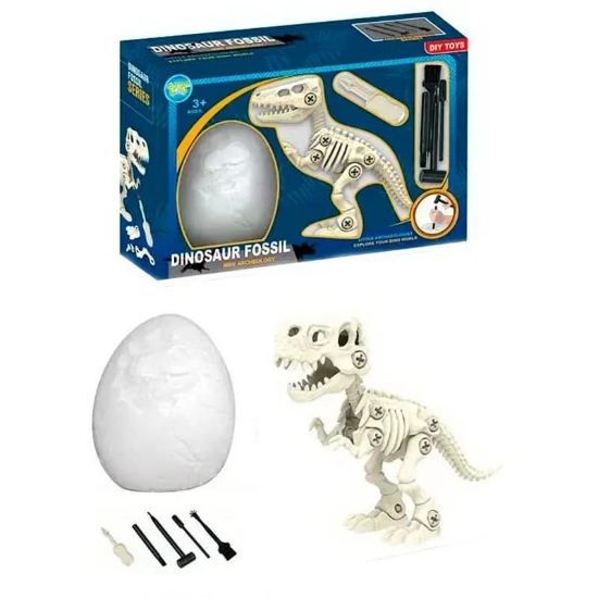 Picture of DINOSAUR FOSSIL