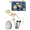 Picture of DINOSAUR FOSSIL